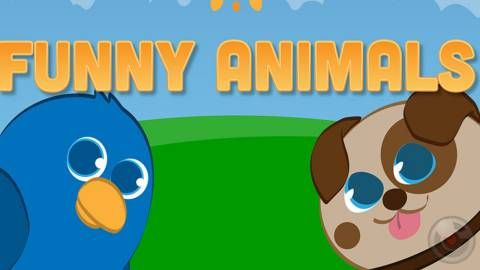 Funny Animals: Play and learn!